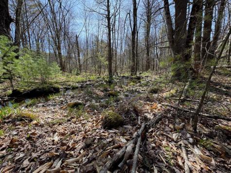 0 Scarlet Way Lebanon ME 04027