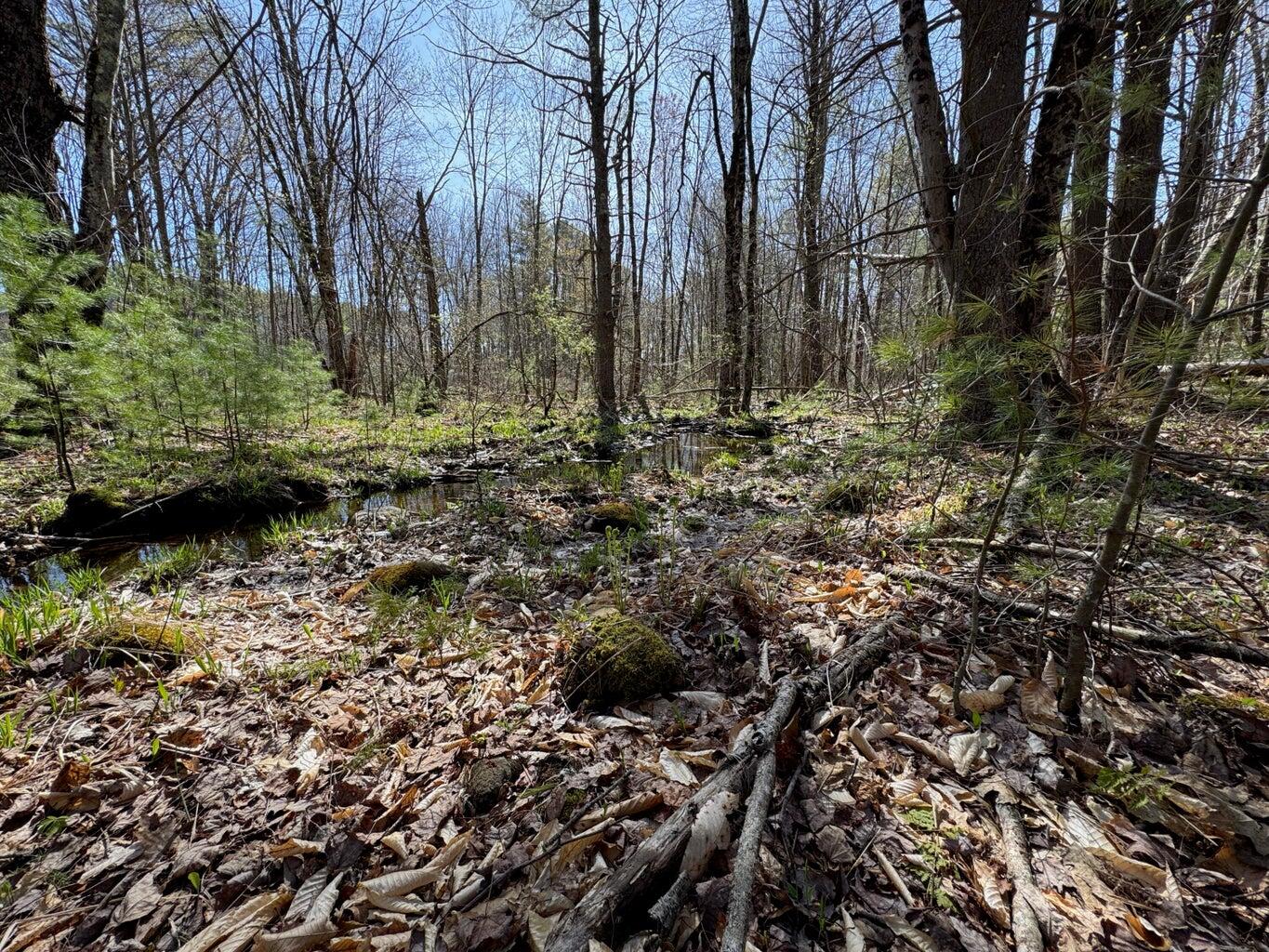 0 Scarlet Way Lebanon ME 04027