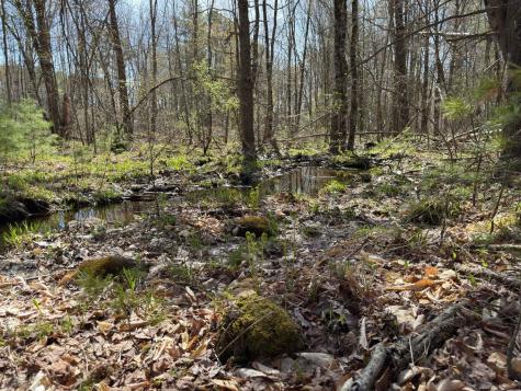 0 Scarlet Way Lebanon ME 04027