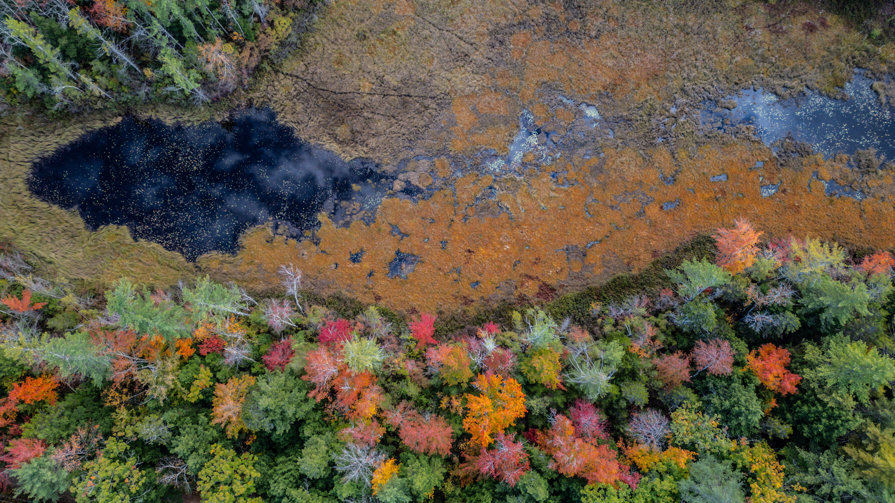 16 Lynchville Loop Albany Twp ME 04217