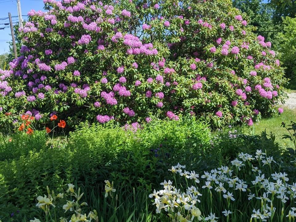 1450 Harpswell Neck Road Harpswell ME 04079