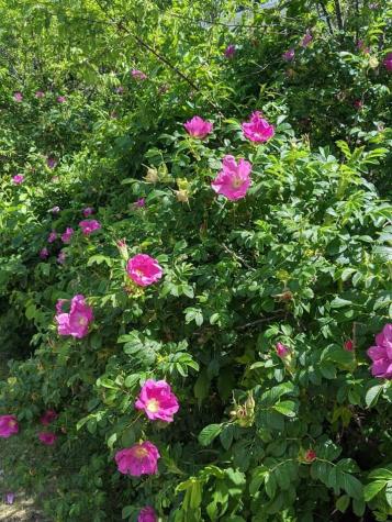 1450 Harpswell Neck Road Harpswell ME 04079