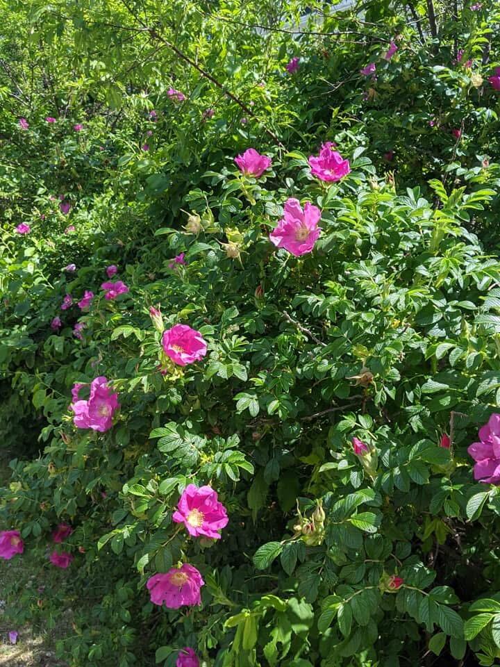 1450 Harpswell Neck Road Harpswell ME 04079