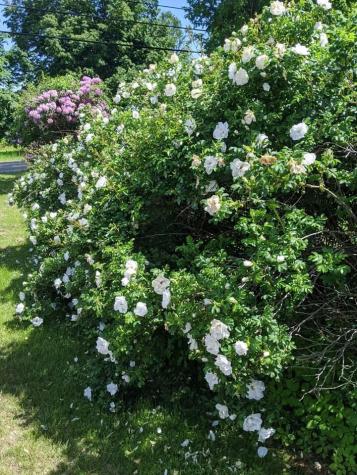 1450 Harpswell Neck Road Harpswell ME 04079