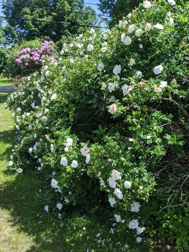 1450 Harpswell Neck Road Harpswell ME 04079