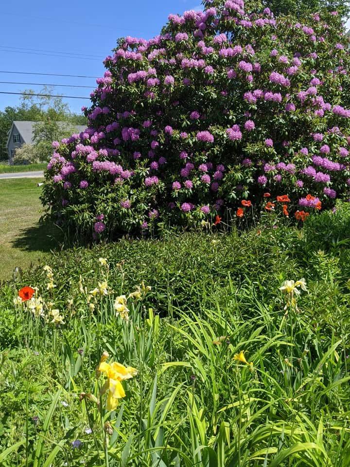 1450 Harpswell Neck Road Harpswell ME 04079