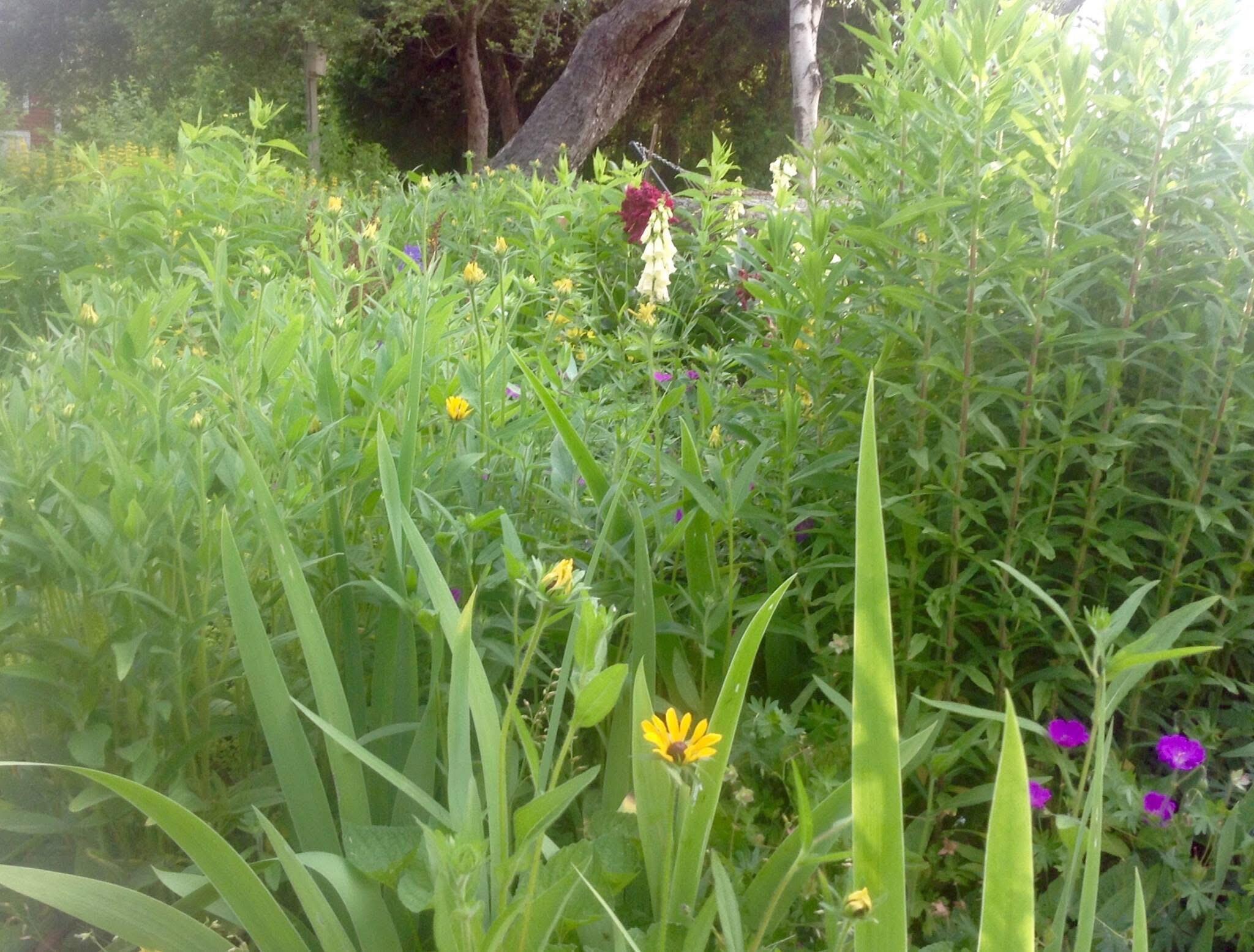 1450 Harpswell Neck Road Harpswell ME 04079