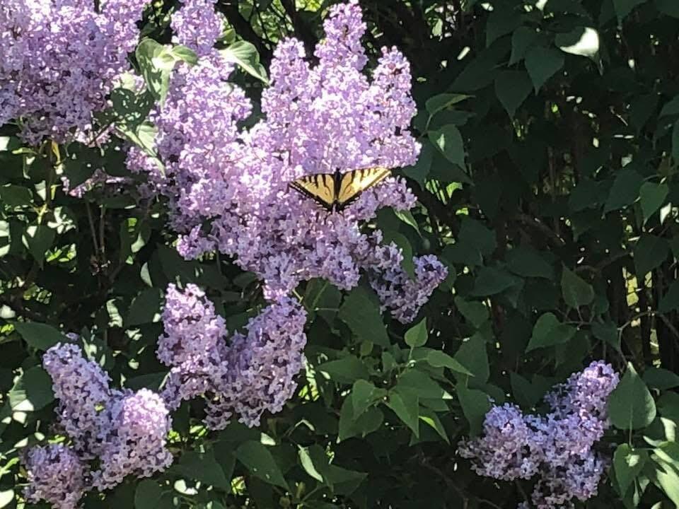 1450 Harpswell Neck Road Harpswell ME 04079