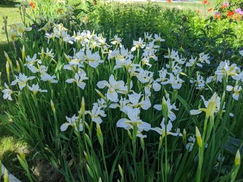 1450 Harpswell Neck Road Harpswell ME 04079