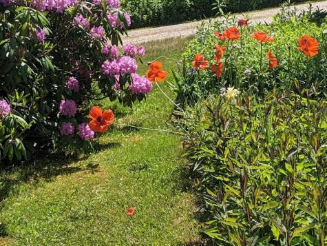 1450 Harpswell Neck Road Harpswell ME 04079