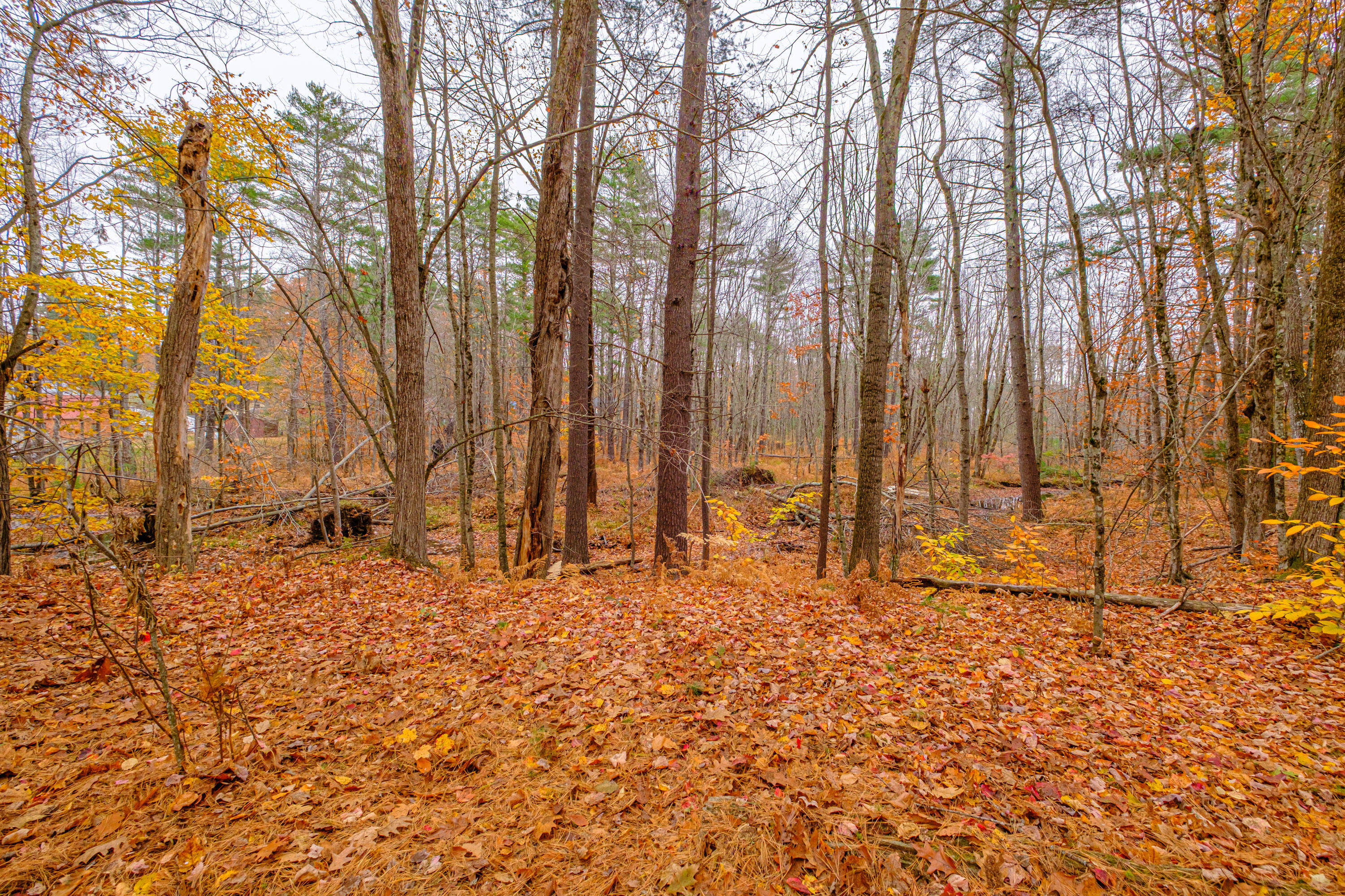 47 Proprietors Road Buxton ME 04093