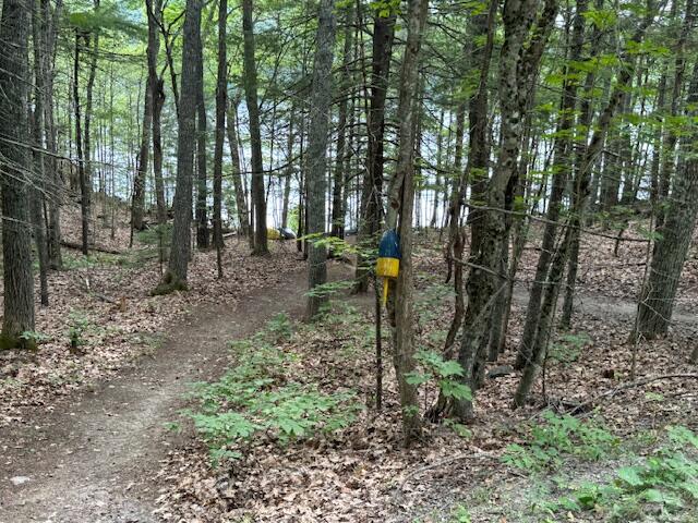 677 Benner Road Bristol ME 04539