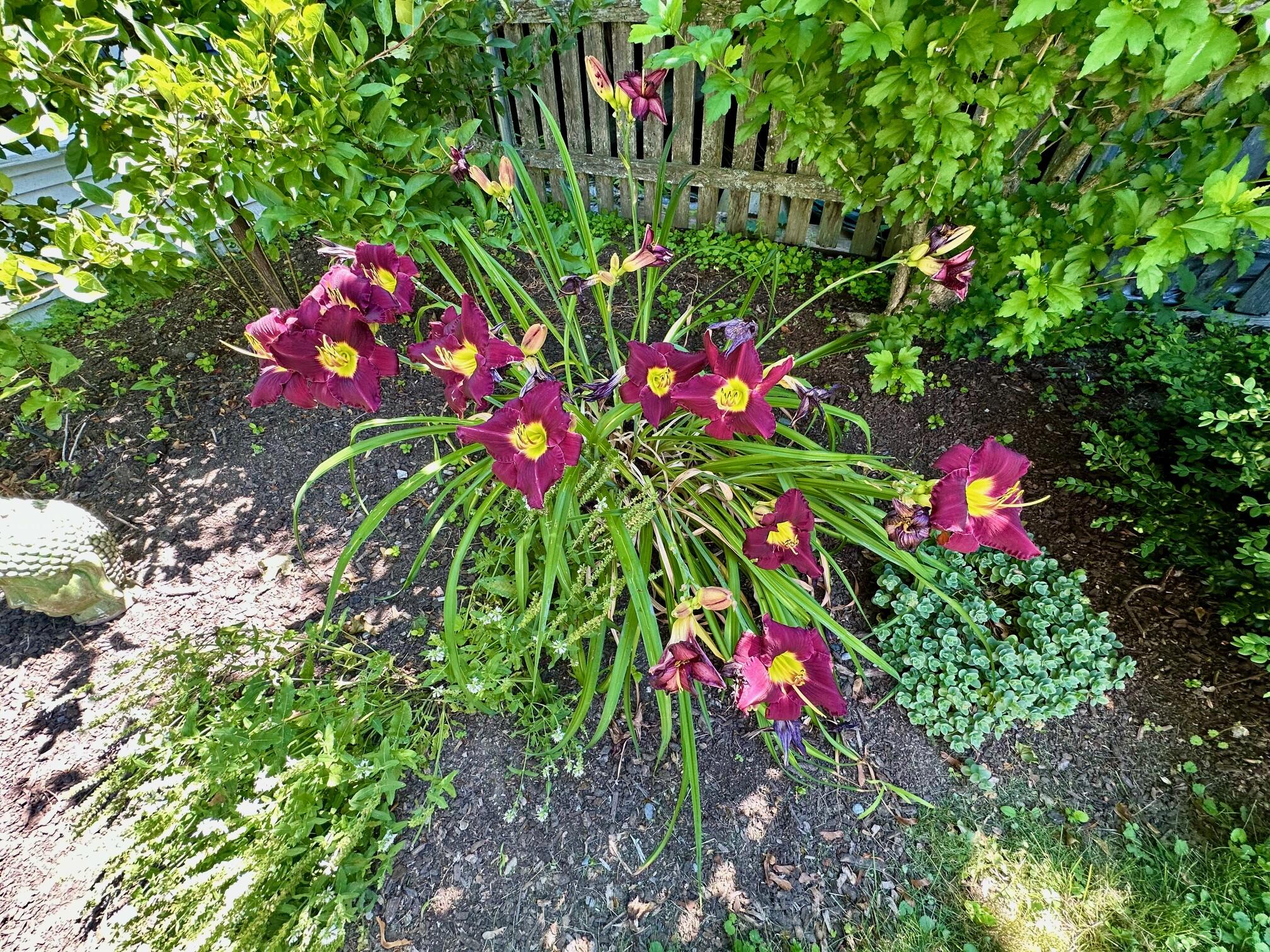 23 Holland Street Bangor ME 04401