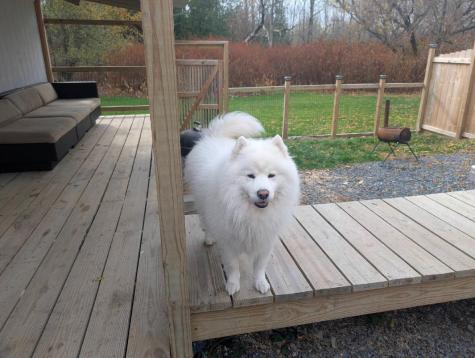 14 Pleasant Street Princeton ME 04668