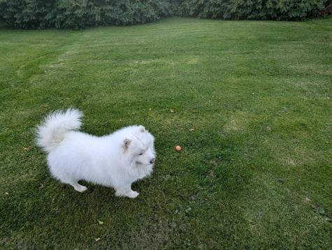 14 Pleasant Street Princeton ME 04668