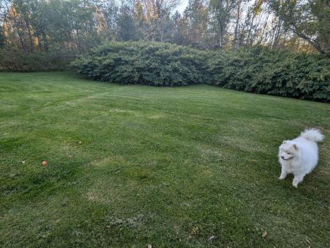 14 Pleasant Street Princeton ME 04668