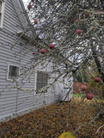 14 Pleasant Street Princeton ME 04668