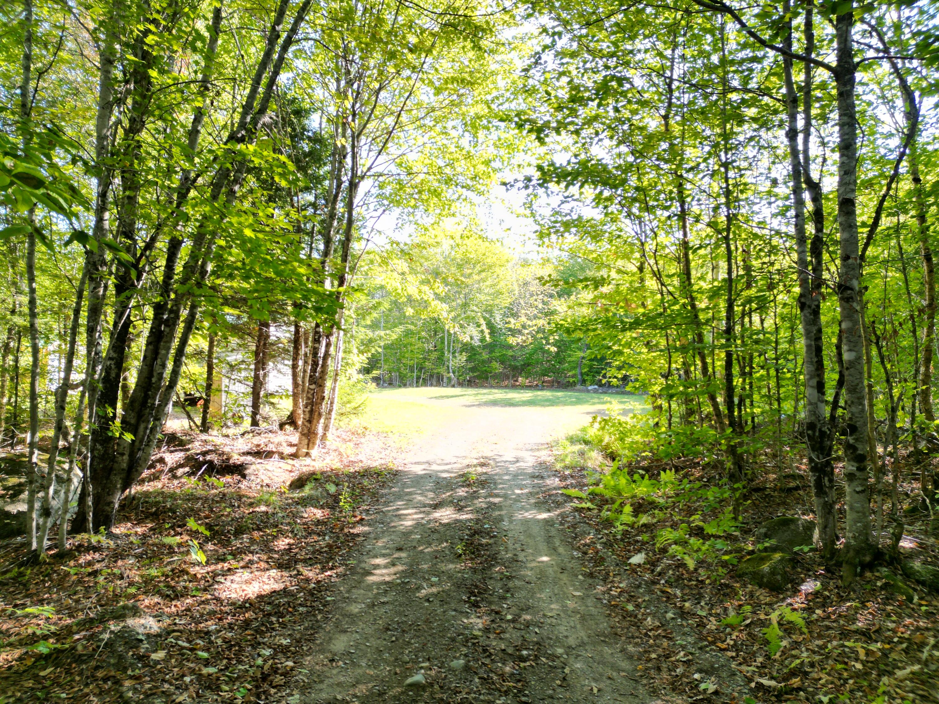 73 Homestead Drive Lakeville ME 04487