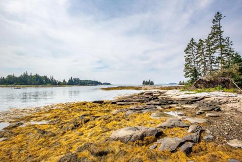 Lot 55 Calf Island Saint George ME 04859