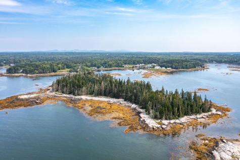 Lot 55 Calf Island Saint George ME 04859
