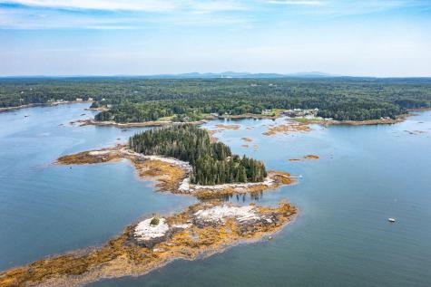 Lot 55 Calf Island Saint George ME 04859