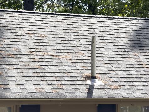 107 Haskell Avenue Raymond ME 04071