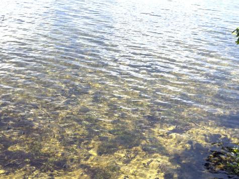 107 Haskell Avenue Raymond ME 04071