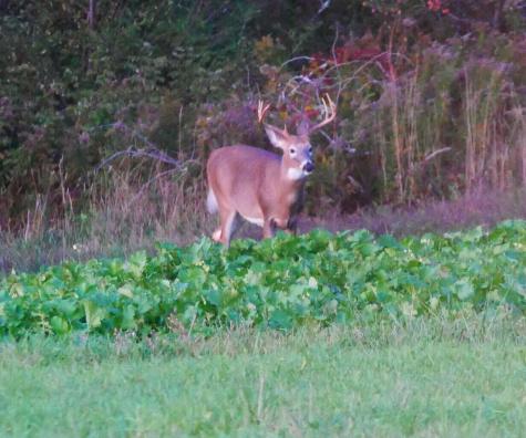 350 Charleston Road Dexter ME 04930