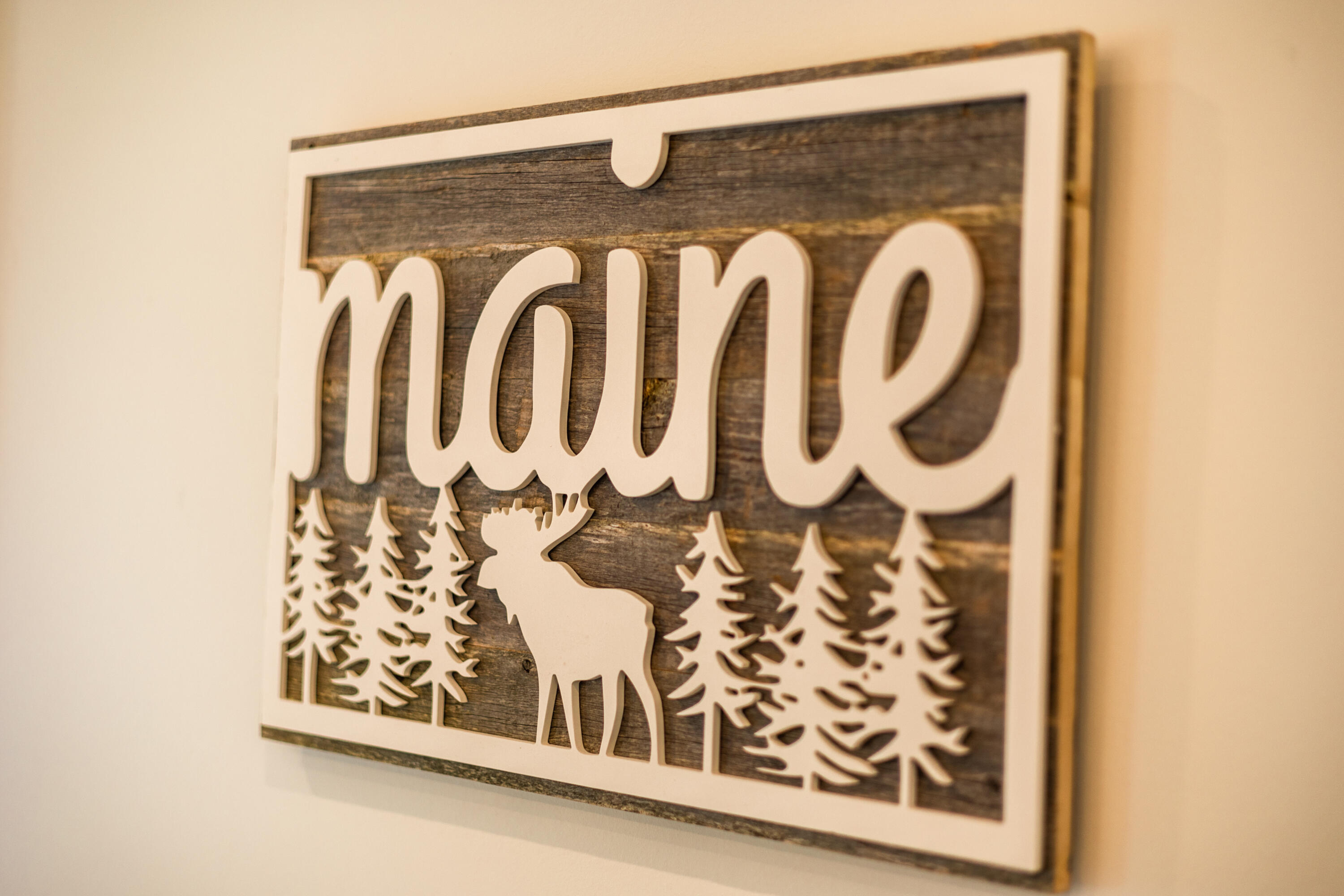 49 Cooper Lane Moosehead Junction Twp ME 04442