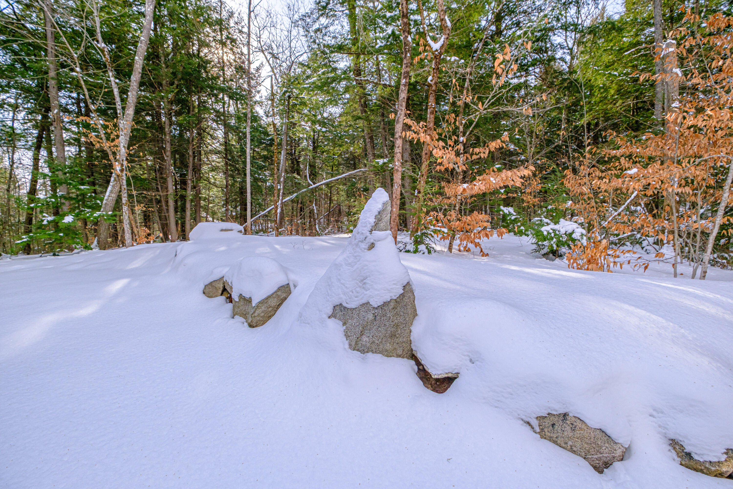 5 Whippoorwill Drive Naples ME 04055