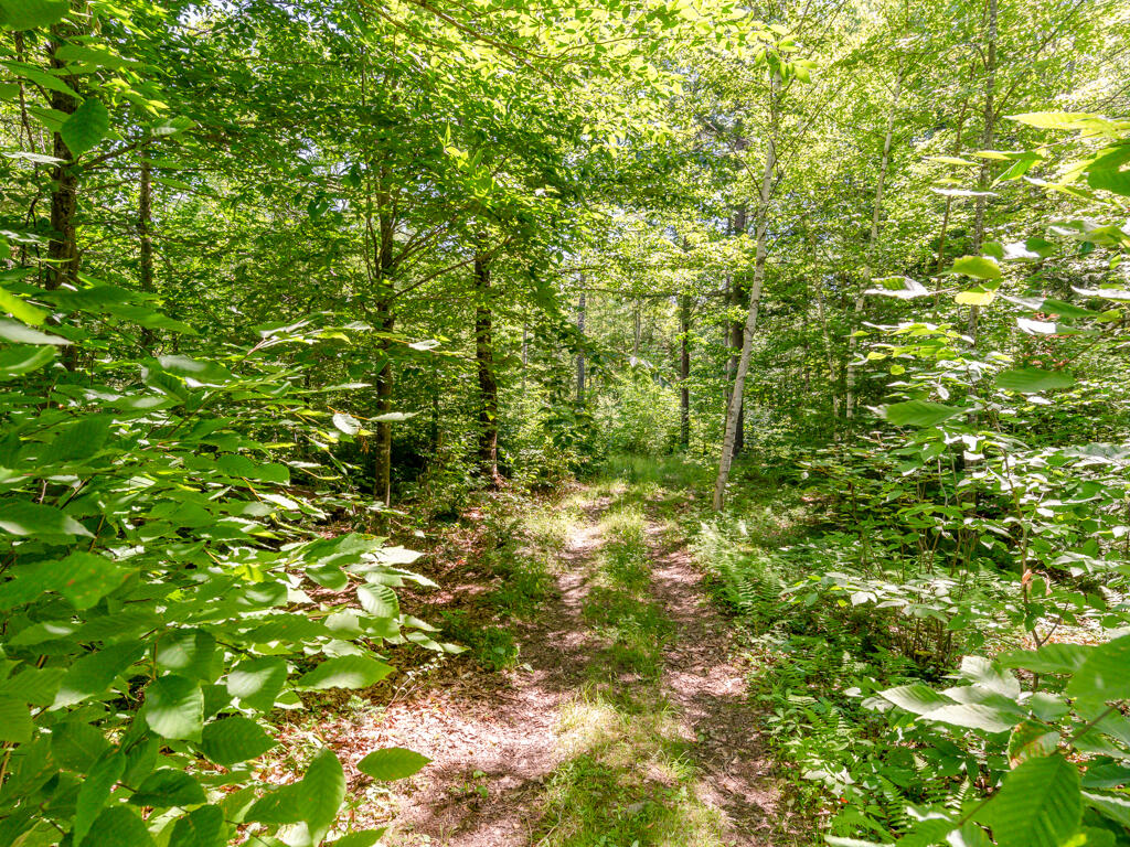23 Shepard Lane Litchfield ME 04350
