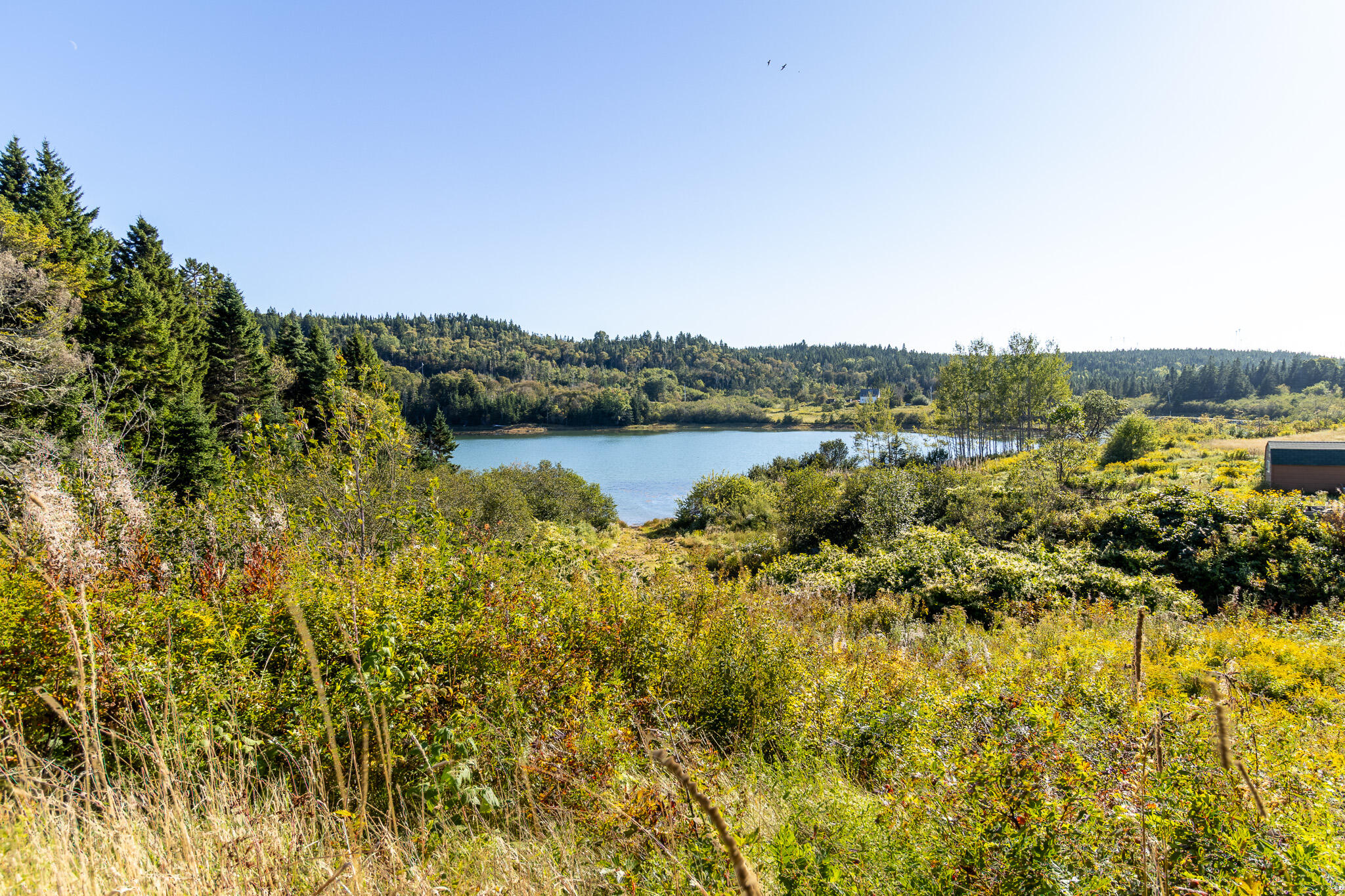 2487 Cutler Road Cutler ME 04626