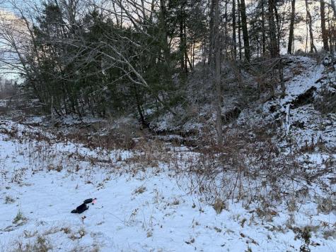 55 Cape Cod Hill Road New Sharon ME 04955