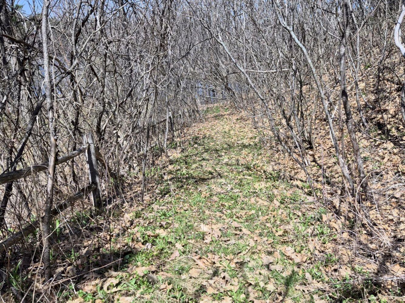55 Cape Cod Hill Road New Sharon ME 04955