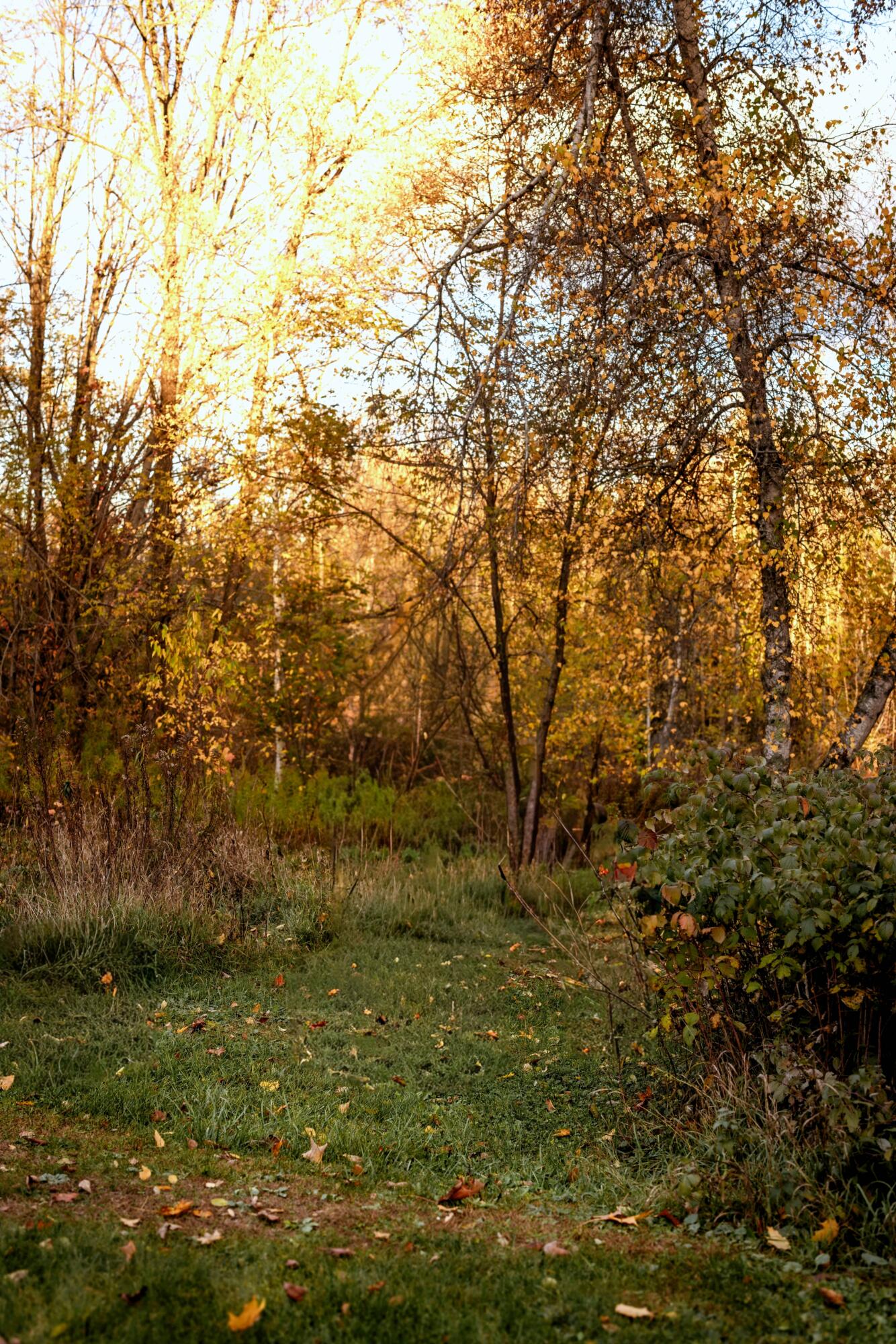 48 Main Road Charleston ME 04422