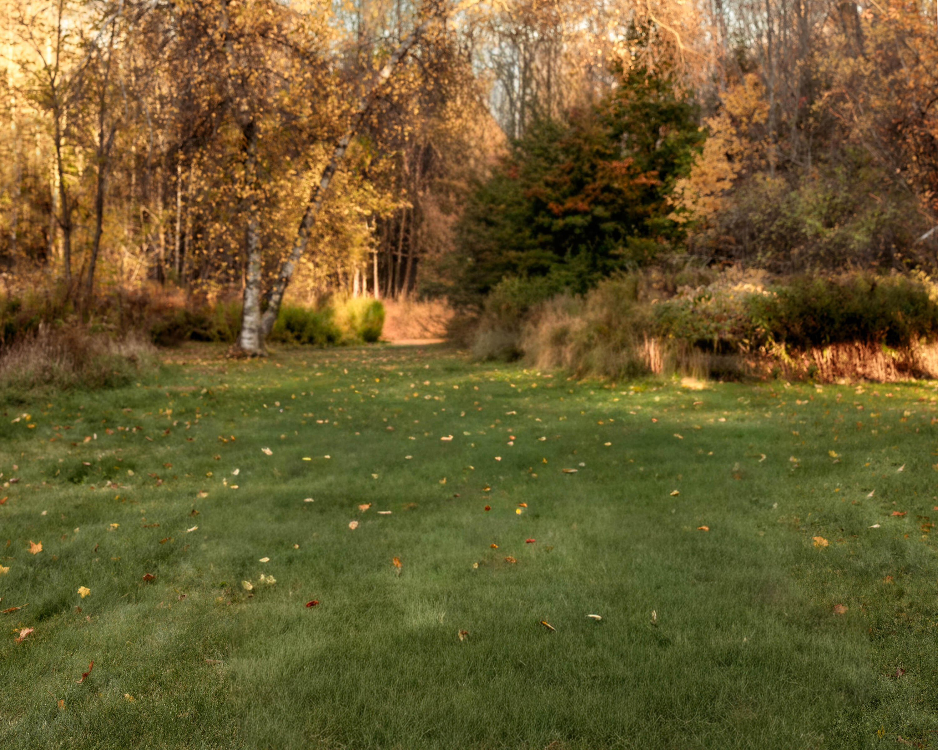 48 Main Road Charleston ME 04422