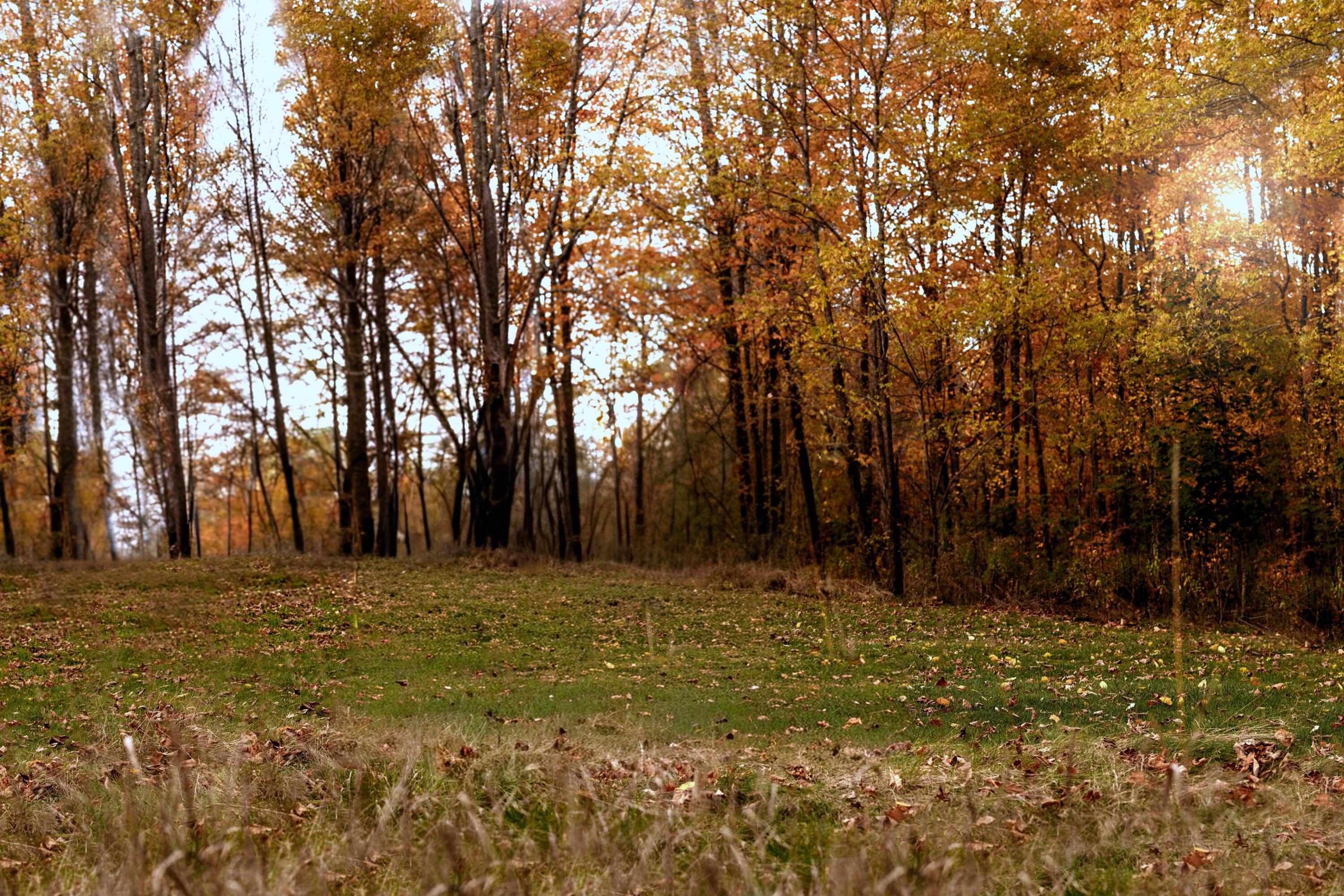 48 Main Road Charleston ME 04422