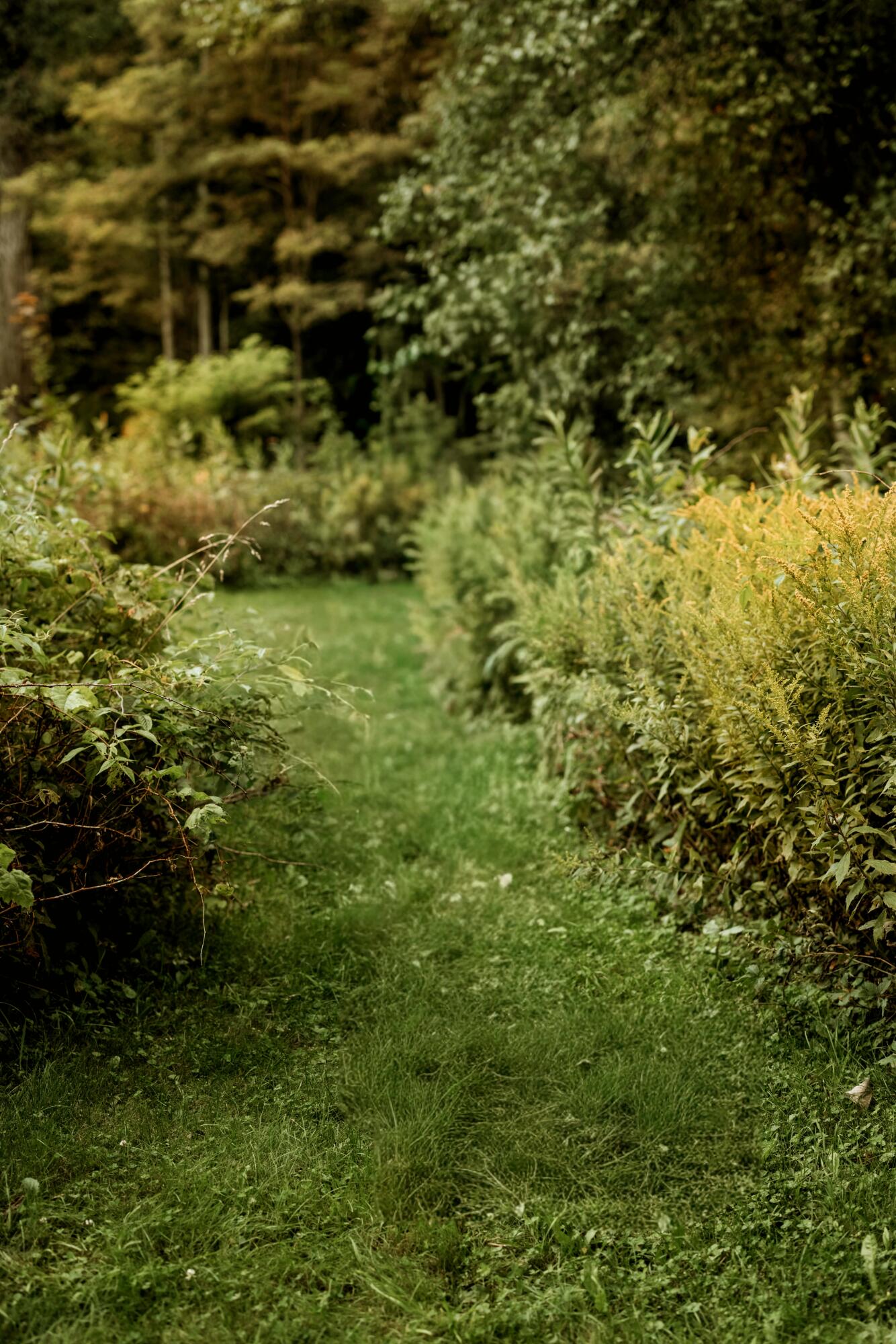 48 Main Road Charleston ME 04422