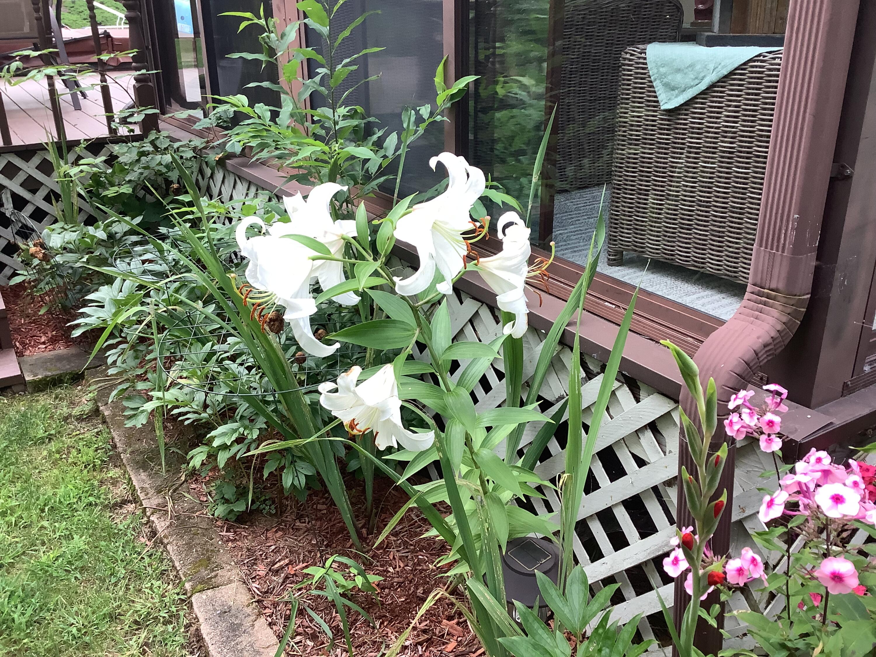 65 Blueberry Lane Gray ME 04039