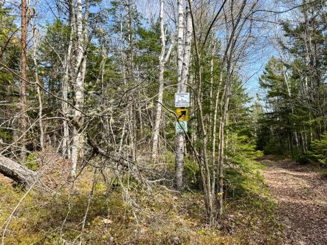 M2l3-m6l16 Campbell Road Whiting ME 04691