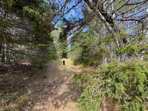 M2l3-m6l16 Campbell Road Whiting ME 04691