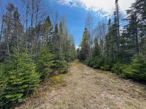 M2l3-m6l16 Campbell Road Whiting ME 04691