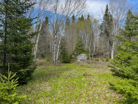 M2l3-m6l16 Campbell Road Whiting ME 04691