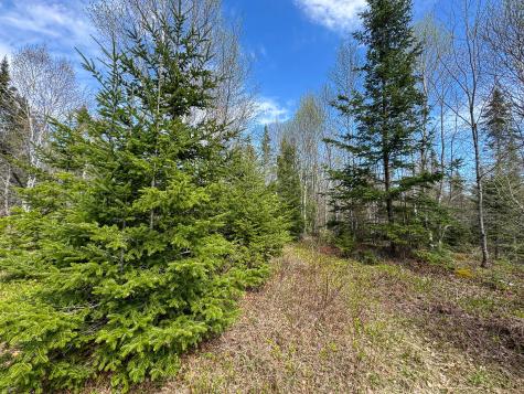 M2l3-m6l16 Campbell Road Whiting ME 04691