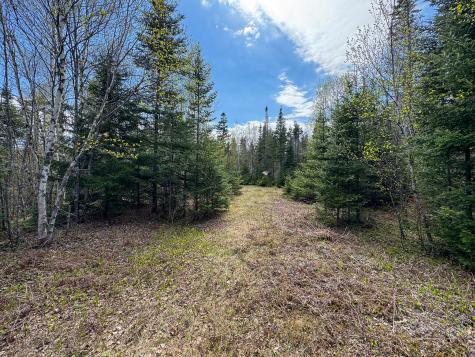 M2l3-m6l16 Campbell Road Whiting ME 04691