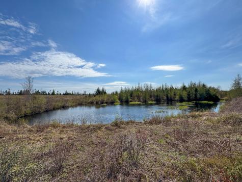 M2l3-m6l16 Campbell Road Whiting ME 04691