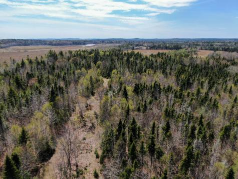 M2l3-m6l16 Campbell Road Whiting ME 04691