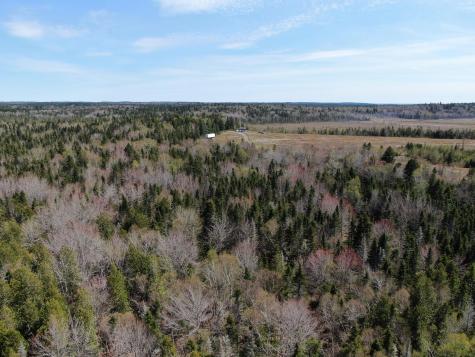 M2l3-m6l16 Campbell Road Whiting ME 04691