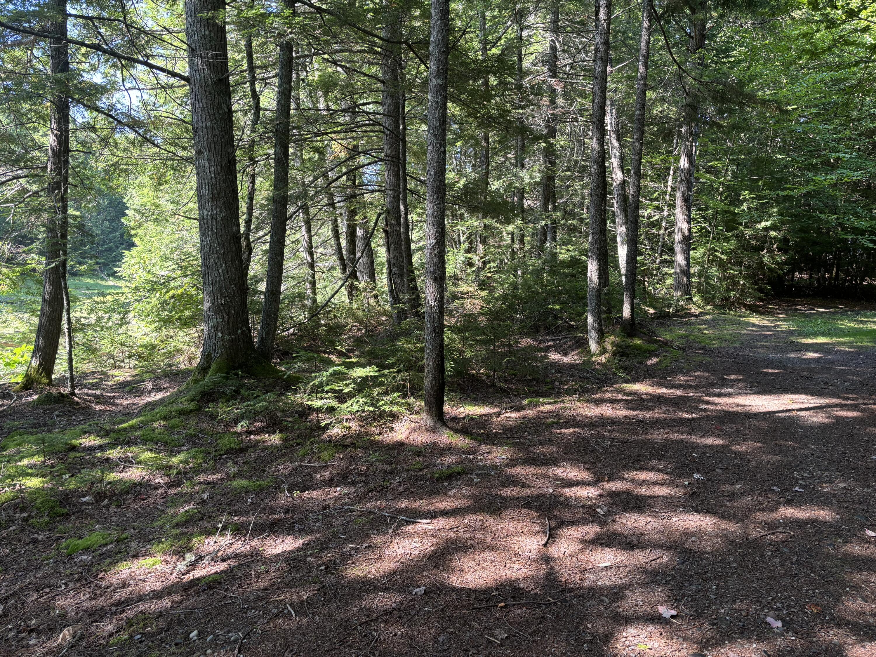 4 Tee Road Mariaville ME 04605