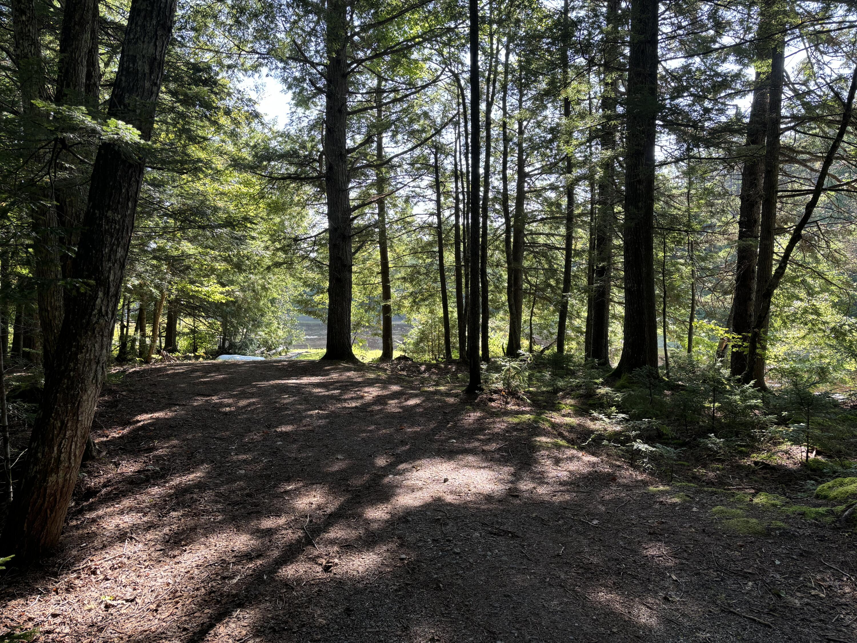 4 Tee Road Mariaville ME 04605